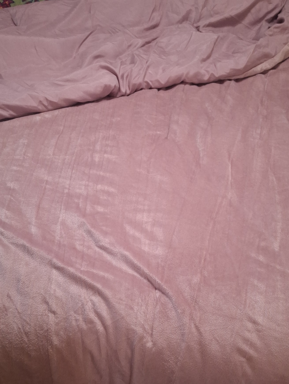 Tahari Blush Pink Plush Comforter